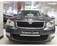 Сетка в бампер для автомобиля Skoda Octavia А5 2009- black. ZR.SKO.OCT.A5.09.b