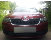 Защита радиатора для автомобиля Skoda Rapid 2013- black. ZR.SKO.RAP.13.b